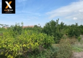 House with land for sale on España, Archena, ref: TR304405 photo