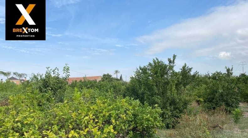 Murcia - Cartagena - 1120m2