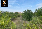 House with land for sale on España, Archena, ref: TR304405 photo