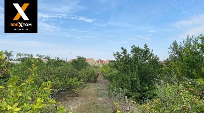 Murcia - Cartagena - 1120m2