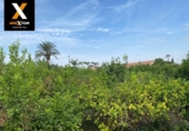 House with land for sale on España, Archena, ref: TR304405 photo