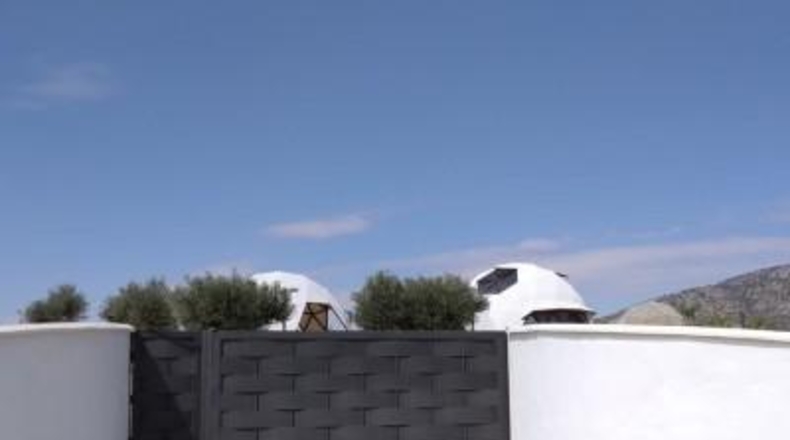Alicante - Pinoso - 10000m2