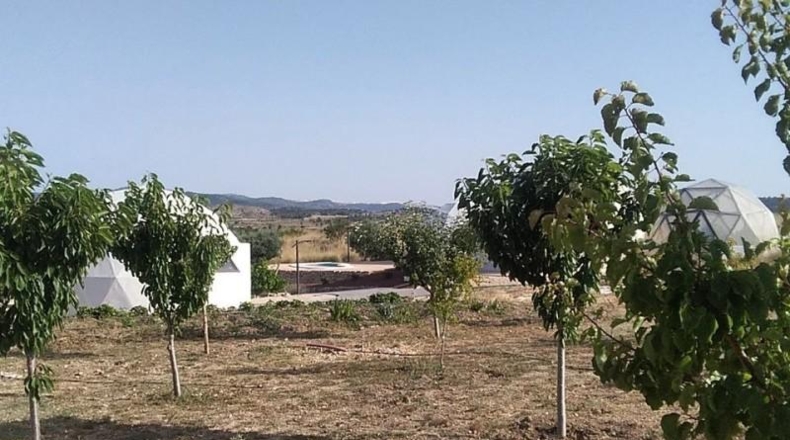 Alicante - Pinoso - 10000m2