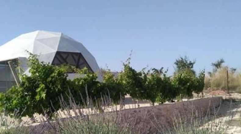 Alicante - Pinoso - 10000m2