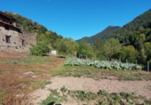 Casa de camp amb terreny en venda a la España, Pesaguero, ref.: TR136051 foto