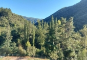 Casa de camp amb terreny en venda a la España, Pesaguero, ref.: TR136051 foto
