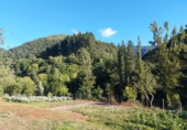 Casa de camp amb terreny en venda a la España, Pesaguero, ref.: TR136051 foto