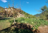 Casa de camp amb terreny en venda a la España, Pesaguero, ref.: TR136051 foto
