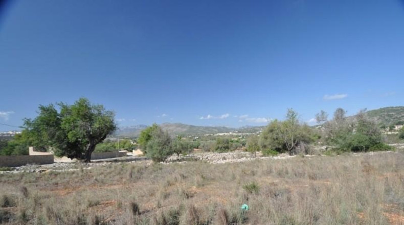 Alicante - Benisa - 10374m2