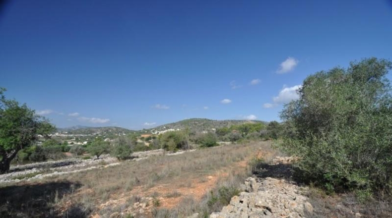 Alicante - Benisa - 10374m2
