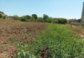 Parcel·la urbanitzable en venda a la España, Santpedor, ref.: TR310864 foto