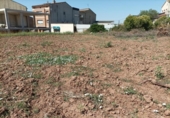 Parcel·la urbanitzable en venda a la España, Santpedor, ref.: TR310864 foto