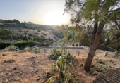 Finca rústica en venda a la España, Alcolea, ref.: TR312151 foto