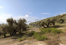 Lucena 71000&nbsp;м²