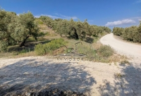Lucena 71000&nbsp;м²