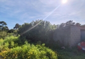 Finca rústica en venda a la España, Rianxo, ref.: TR279724 foto