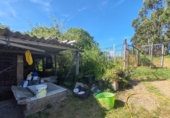 Finca rústica en venda a la España, Rianxo, ref.: TR279724 foto