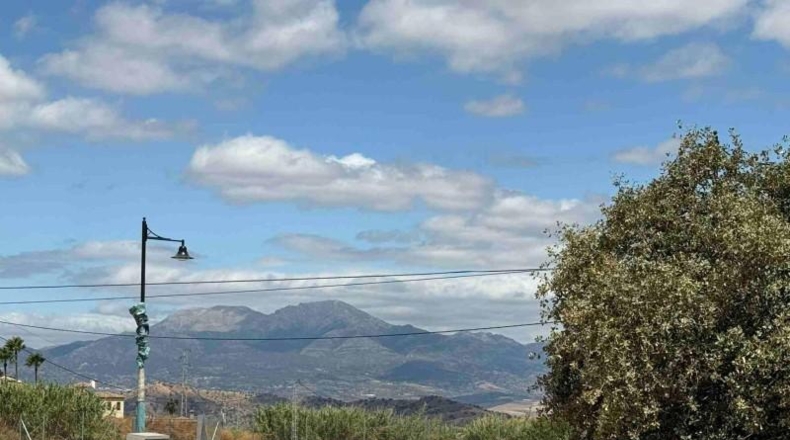 Malaga - Coín - 562m2