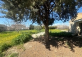 Parcel·la urbanitzable en venda a la España, Ogíjares, ref.: TR372811 foto