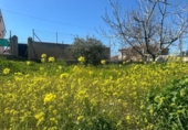 Parcel·la urbanitzable en venda a la España, Ogíjares, ref.: TR372811 foto