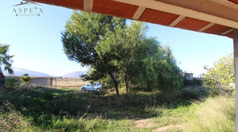Alicante - Aspe - 10000m2