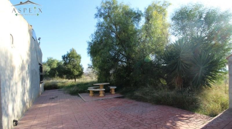 Alicante - Aspe - 10000m2