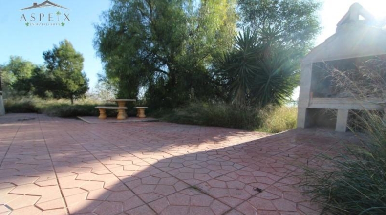 Alicante - Aspe - 10000m2
