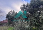 Suelo urbano en venta en la España, Cáceres, ref: TR371915 foto