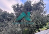 Suelo urbano en venta en la España, Cáceres, ref: TR371915 foto