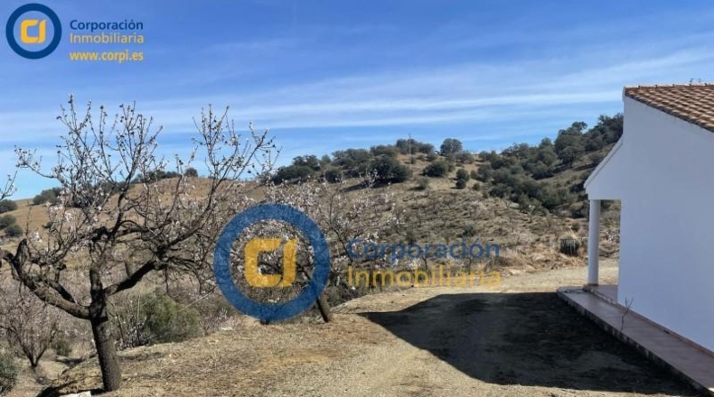 Murcia - Puerto Lumbreras - 40989m2