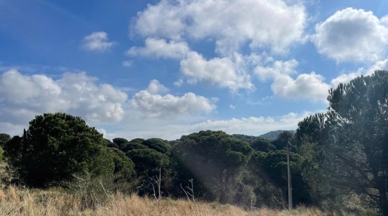 Gerona - Blanes - 1107m2