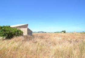 Foto 15