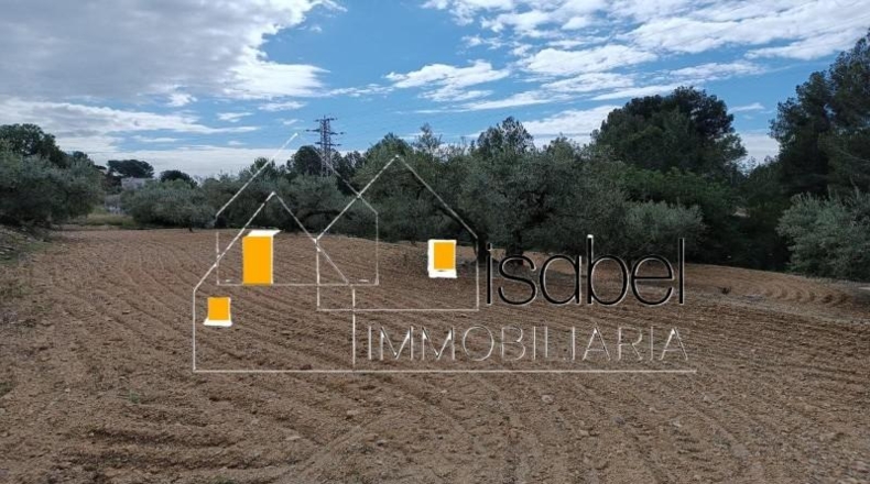 Tarragona - Castellvell del Camp - 4352m2