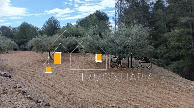 Tarragona - Castellvell del Camp - 4352m2