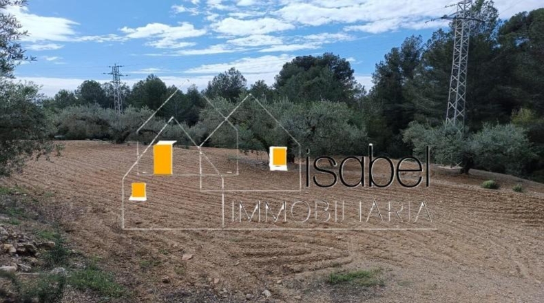 Tarragona - Castellvell del Camp - 4352m2