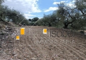 Sòl urbà en venda a la España, Castellvell del Camp, ref.: TR241100 foto