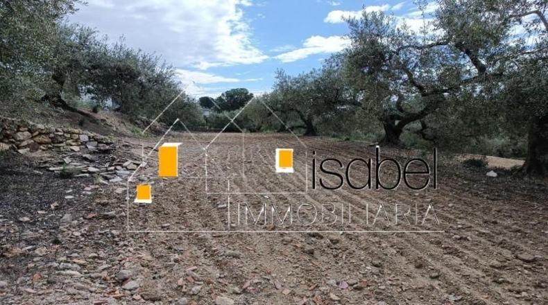 Tarragona - Castellvell del Camp - 4352m2