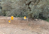 Sòl urbà en venda a la España, Castellvell del Camp, ref.: TR241100 foto