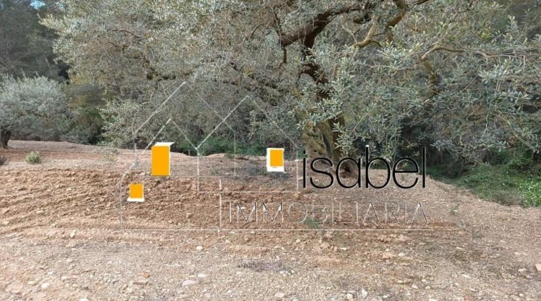 Tarragona - Castellvell del Camp - 4352m2