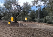 Sòl urbà en venda a la España, Castellvell del Camp, ref.: TR241100 foto