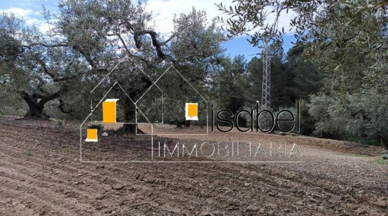 Tarragona - Castellvell del Camp - 4352m2