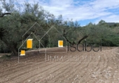 Sòl urbà en venda a la España, Castellvell del Camp, ref.: TR241100 foto