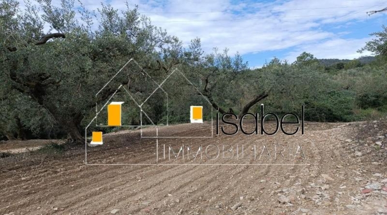 Tarragona - Castellvell del Camp - 4352m2