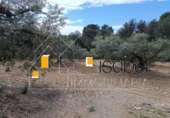 Sòl urbà en venda a la España, Castellvell del Camp, ref.: TR241100 foto