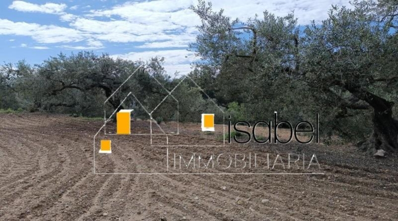 Tarragona - Castellvell del Camp - 4352m2