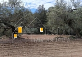 Sòl urbà en venda a la España, Castellvell del Camp, ref.: TR241100 foto