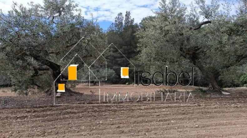 Tarragona - Castellvell del Camp - 4352m2