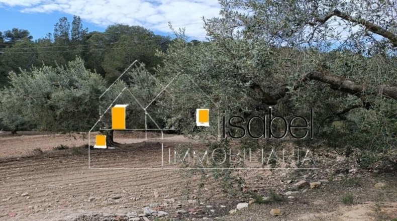 Tarragona - Castellvell del Camp - 4352m2