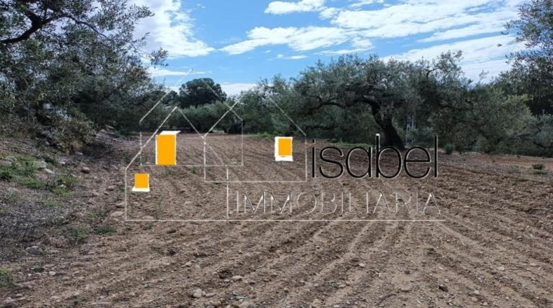 Tarragona - Castellvell del Camp - 4352m2