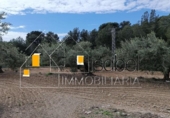 Sòl urbà en venda a la España, Castellvell del Camp, ref.: TR241100 foto
